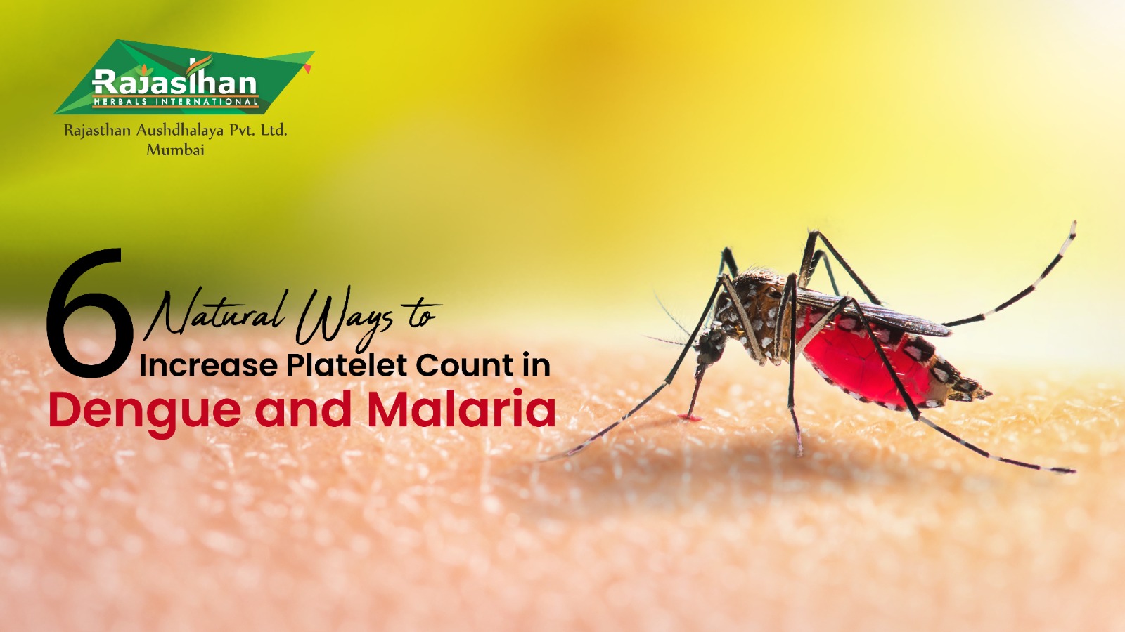 6-natural-ways-to-increase-platelet-count-in-dengue-and-malaria