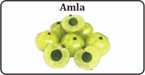 amla - ayurvedic medicine to control diabetes