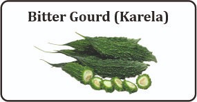 karela - ayurvedic medicine to control diabetes